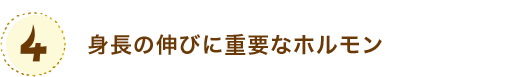 身長の伸びに重要なホルンモン