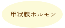 甲状腺ホルモン