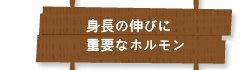 身長の伸びに重要なホルモン